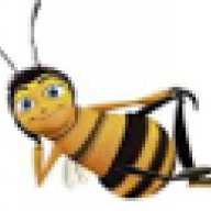 HoneyBee 555