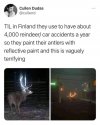 reflective reindeer.jpeg