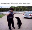 you wouldn't stop me if I was a polar bear.jpg