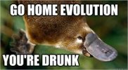 go home evolution, you're drunk.jpeg