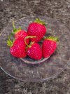 strawberries21.jpg