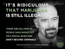 2127959794-its-ridiculous-that-marijuana-is-still-illegal-thcfinder.jpg