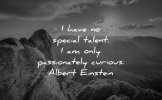 famous-quotes-i-have-no-special-talent-i-am-only-passionately-curious-albert-einstein-wisdom-q...jpg