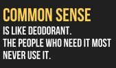 376110176-common-sense-is-like-deodorant-the-people-who-need-it-most-never-use-it-funny-quote.jpeg