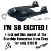 model of Enterprise flapper.jpeg