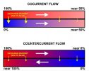 Comparison_of_con-_and_counter-current_flow_exchange.jpg