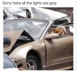 colourblind dog driver.jpeg