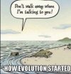 don't walk away evolution.jpg