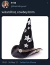 wizard hat, cowboy brim.jpg