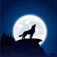 NightMoonWolf