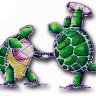 turtle360