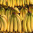 banana_republic