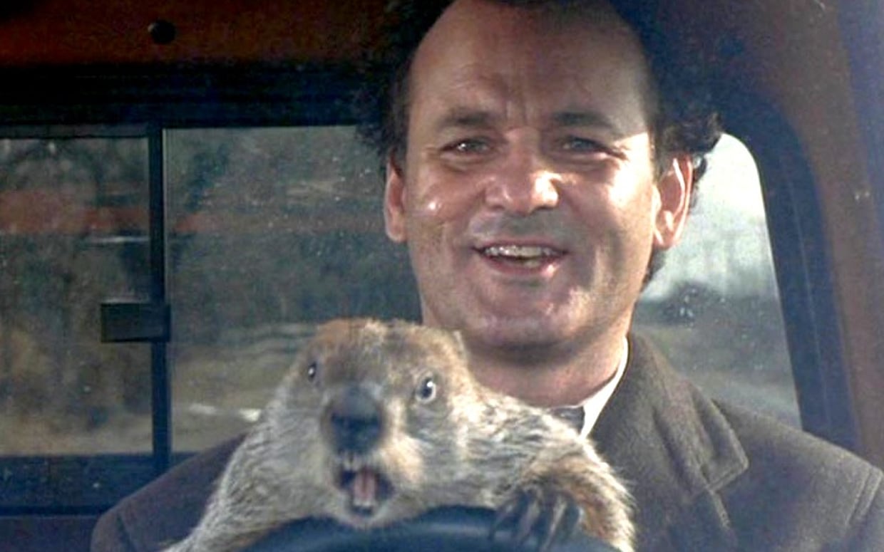 groundhog-day-ftr1.jpg