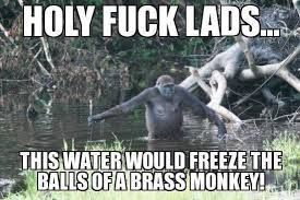 monkeycold_zpse487fe48.jpg