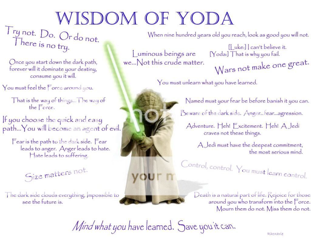 wisdom-of-yoda1_zpscb5b4db2.jpg