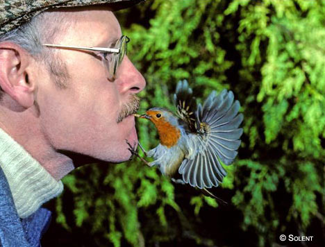 man-feed-bird-by-mouth.jpg