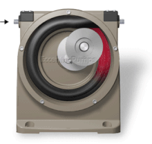 220px-Eccentric_pump.gif