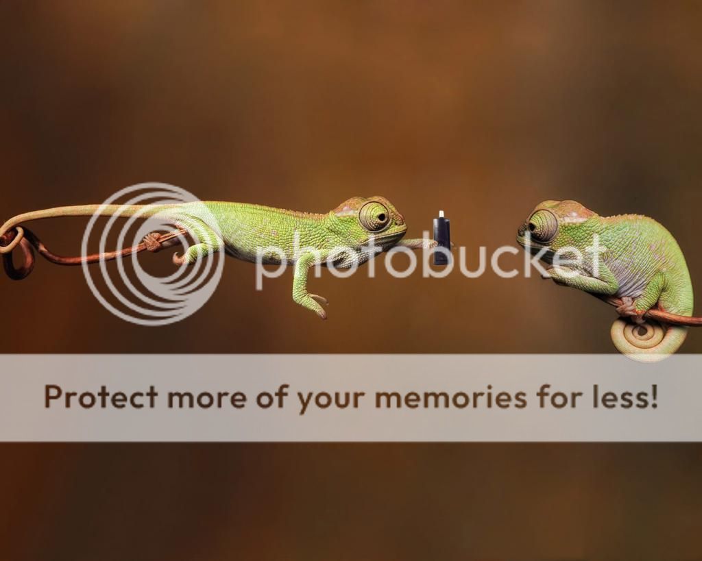 chameleonevo.jpg