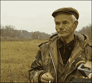 aM8HOjVBsHTj2.gif