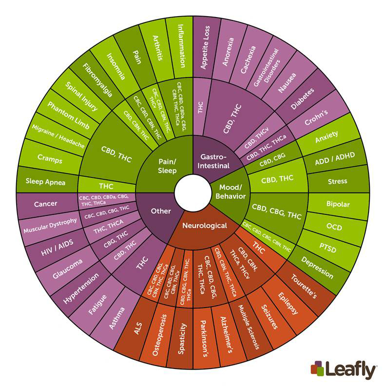 Cannabinoids.jpg