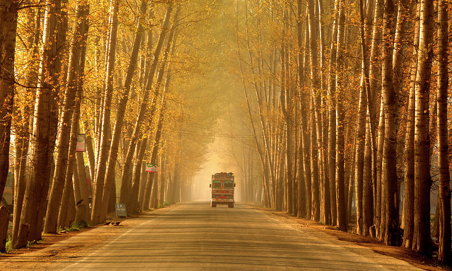 truck-in-golden-tunnel-pkg-photography.jpg