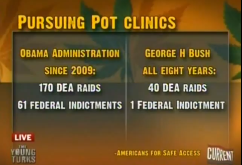 Obama-vs-Bush-Medical-Pot-Raids.png