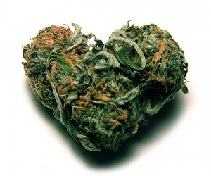 nug-heart-300x250.jpg