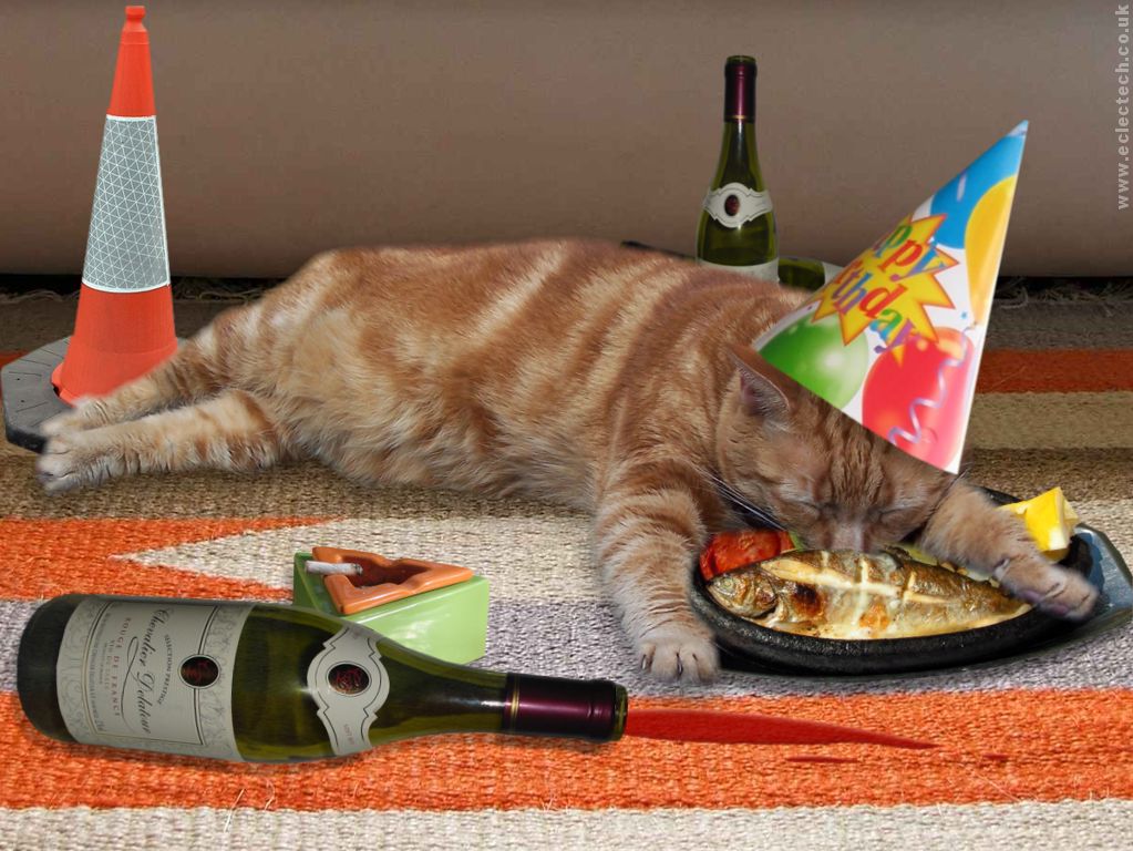 drunkcatbirthday-wallpaper.jpg