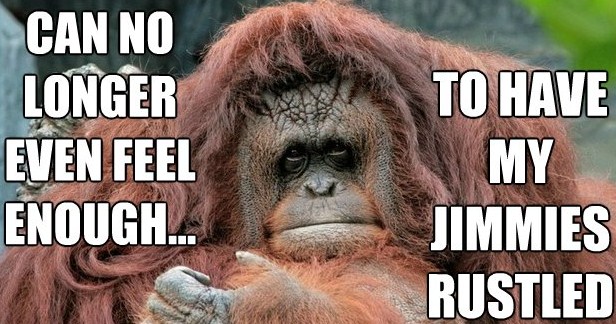 orangutan-jimmies-rustled.jpg