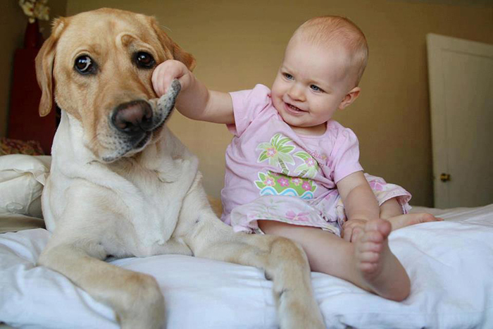 cute-big-dogs-and-babies-32.jpg