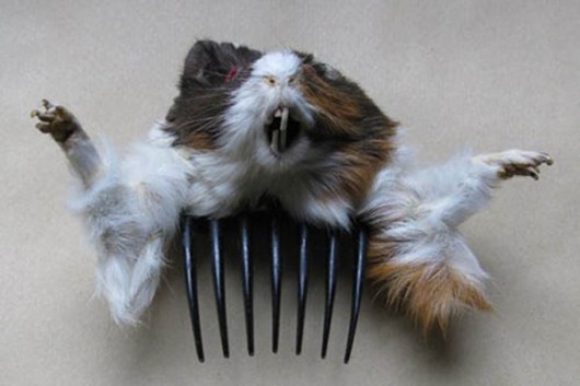 Crazy-Christmas-Gifts-Taxidermy-Guinea-Pig-Comb-Accessory.jpg