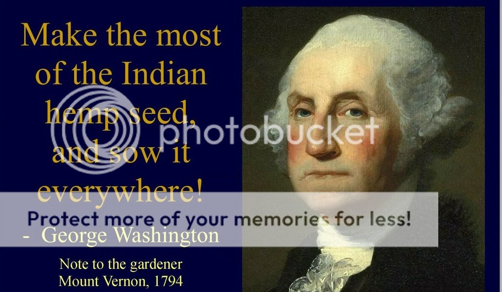 George-Washington-hemp_zpspwudqlrl.jpg