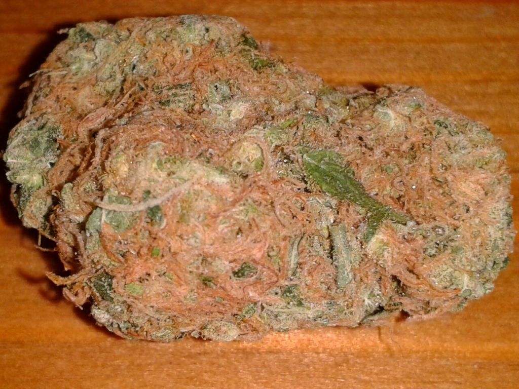 LemonHaze_02.jpg