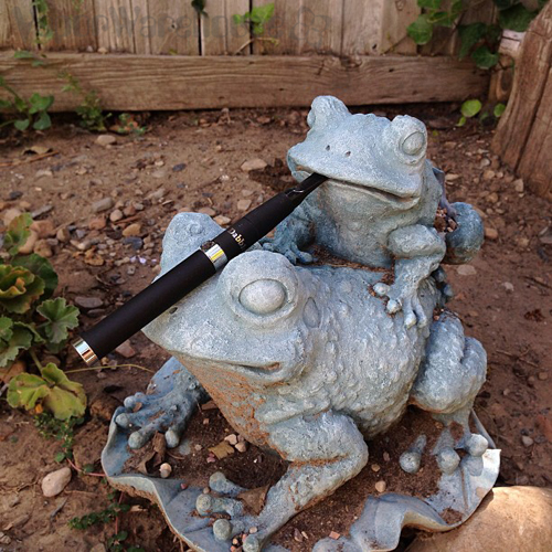 vaporbrothers-dabbler-frogs.jpg