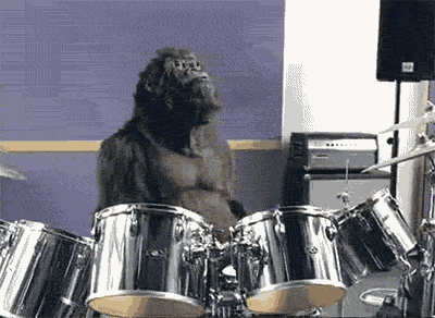 Drumming-Gorilla.gif