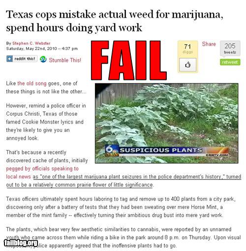 pot-fail.jpg