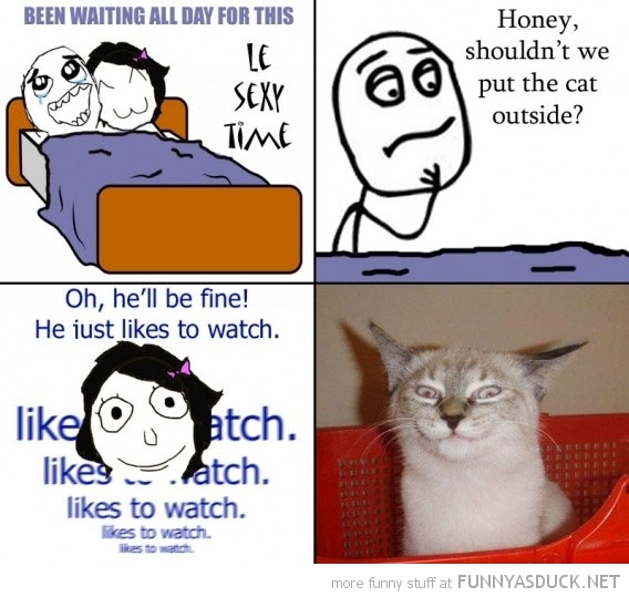 funny-sexy-time-rage-comic-cat-likes-watch-pics.jpg