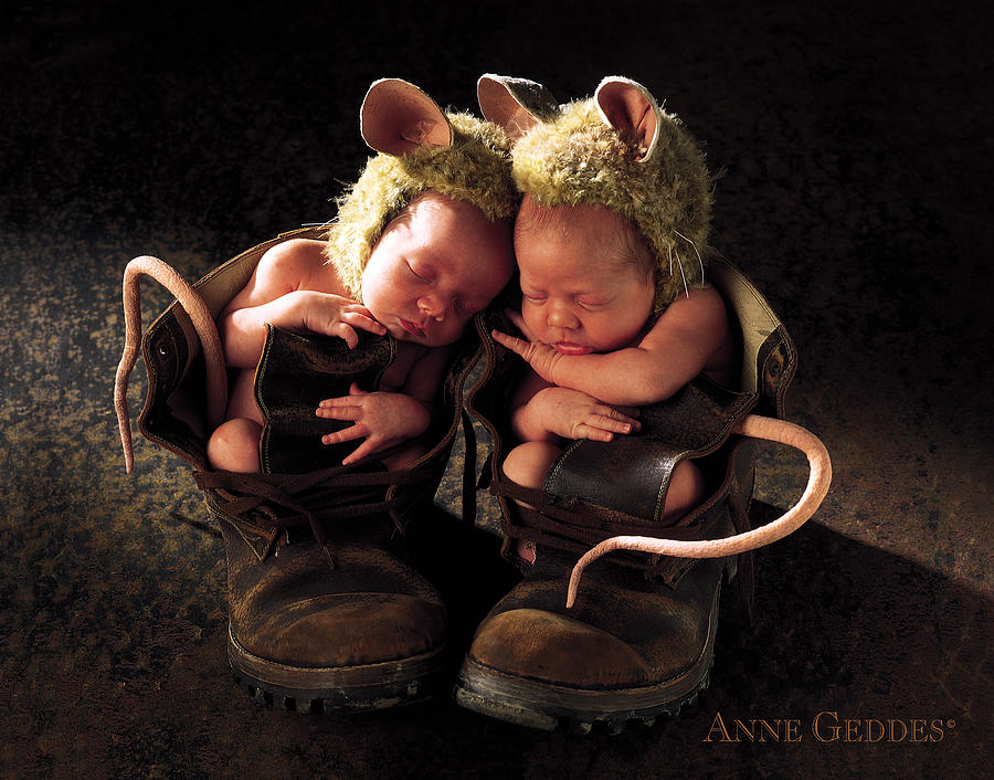 field-mice-anne-geddes.jpg