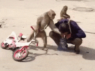 daily_gifdump_948_02_zpsarhnr6au.gif