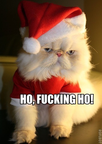 persian_cat_santa_xmas.jpg