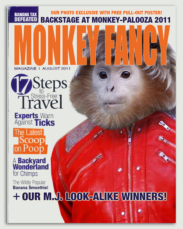 MonkeyFancy_main.jpg