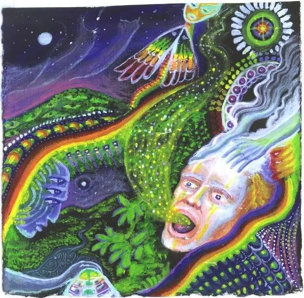 Attractorayahuascadream.jpg