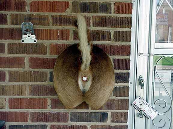 RedneckDoorBell1.jpg