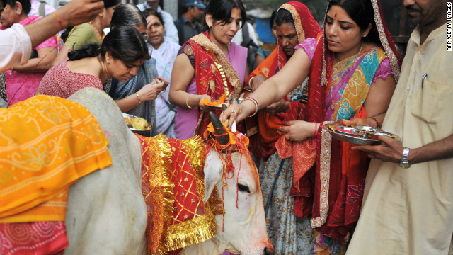 120419014951-hindu-sacred-cow-story-top.jpg