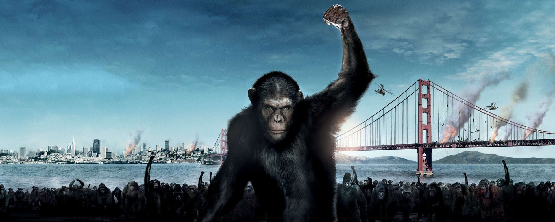 rise-of-the-planet-of-the-apes-e1404298551205.jpg