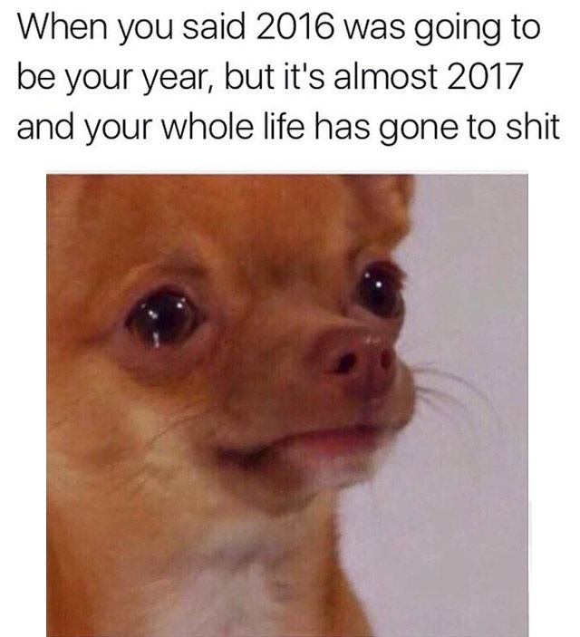 85176326.jpg