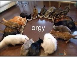 orgy_zps59949535.jpg