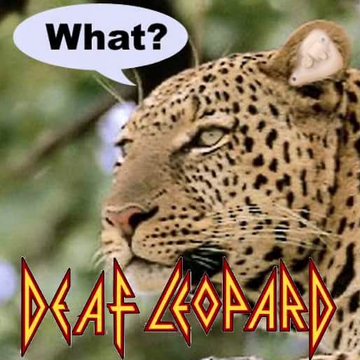CHk9tAl.jpg