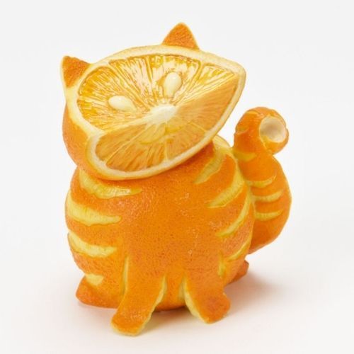 orange-cat.jpg