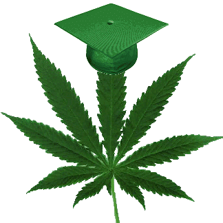 college-marijuana1.png